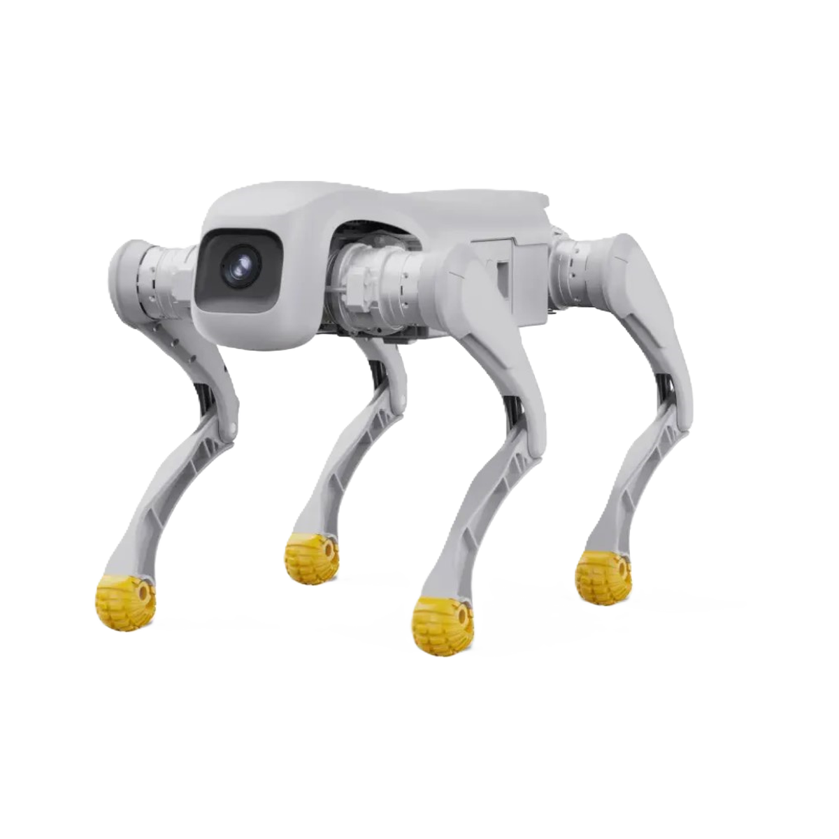 AGIBOT D1 EDU
